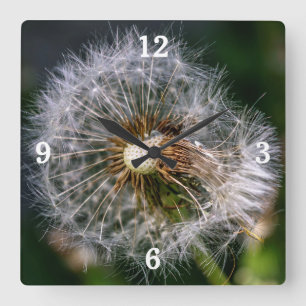 Horloge Carrée Photo moderne de gros plan