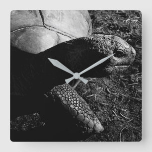 Horloge Carrée Photographie de tortue en noir et blanc