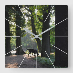 Horloge Carrée Photos de Dogues Allemands