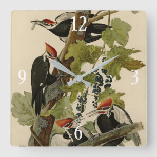 Horloge Carrée Pileated Woodpecker from Audubon Birds of America