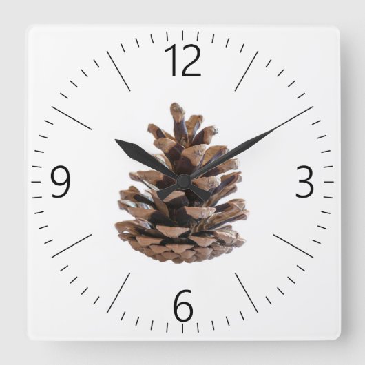 Horloge Carrée Pinecone (Recto)
