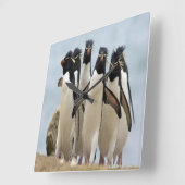 Horloge Carrée Pingouin Walking along the ocean (Angle)