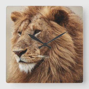 Horloge Carrée Plan rapproché du lion masculin