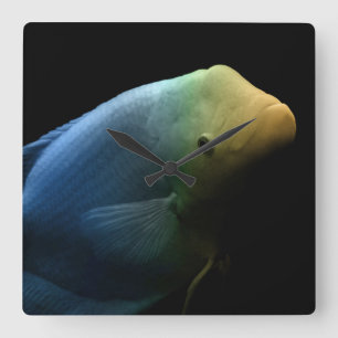 Horloge Carrée Poisson dans un réservoir - Photographie d'art