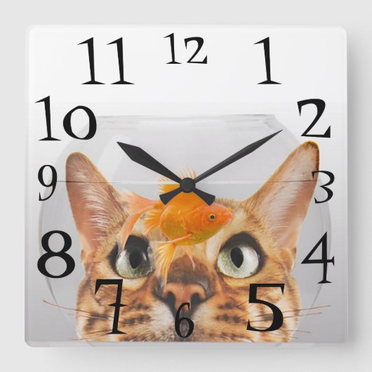 Horloge Carrée Poisson rouge de observation de chat dans une (Recto)
