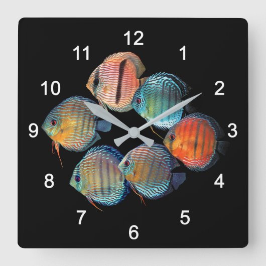 Horloge Carrée Poisson sauvage Discus (Recto)