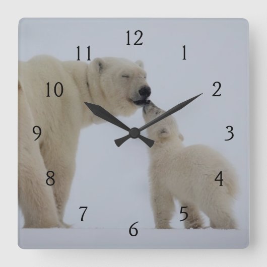 Horloge Carrée Polar Bear Mother with Cub (Recto)