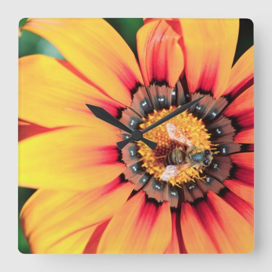 Horloge Carrée Pollen de close-up extrême de A Bee Collecting (Recto)