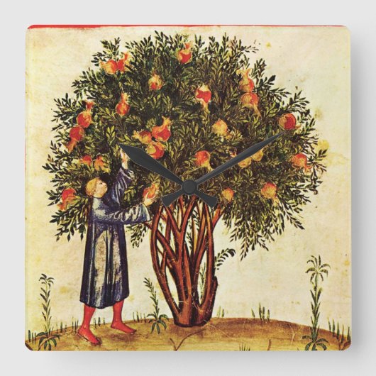 Horloge Carrée POMEGRENATE TREE ANTIQUE MEDIEVAL PARCHMENT, Rusti (Recto)