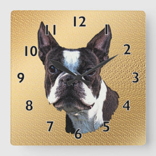 Horloge Carrée Portrait de Boston Terrier