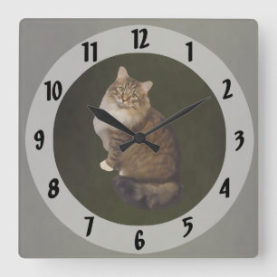 Horloge Carrée Portrait de chat Maine Coon
