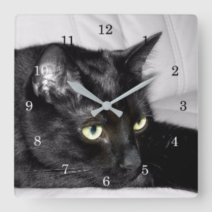 Horloge Carrée Portrait de chat noir mignon