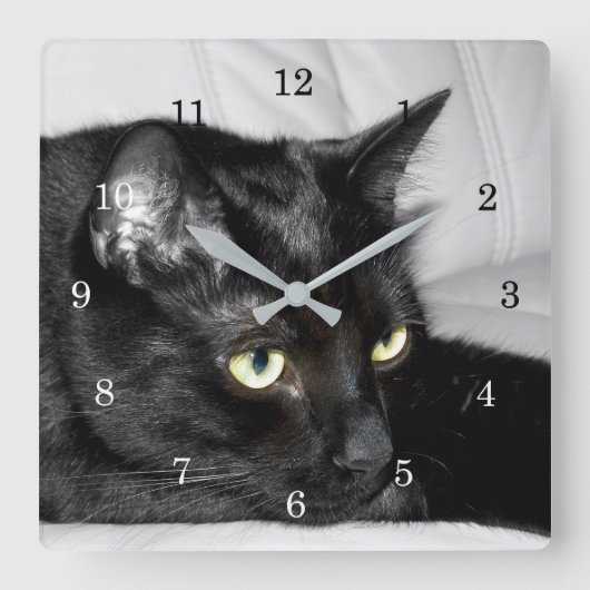 Horloge Carrée Portrait de chat noir mignon (Recto)