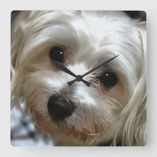 Horloge Carrée Portrait de chien de rue White Haired