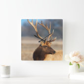 Horloge Carrée Portrait d'un bull (Maison)