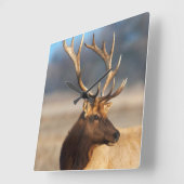 Horloge Carrée Portrait d'un bull (Angle)