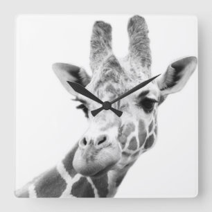 Horloge Carrée Portrait noir et blanc d'une girafe