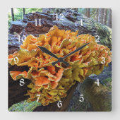 Horloge Carrée Poulet orange du champignon des bois (Recto)
