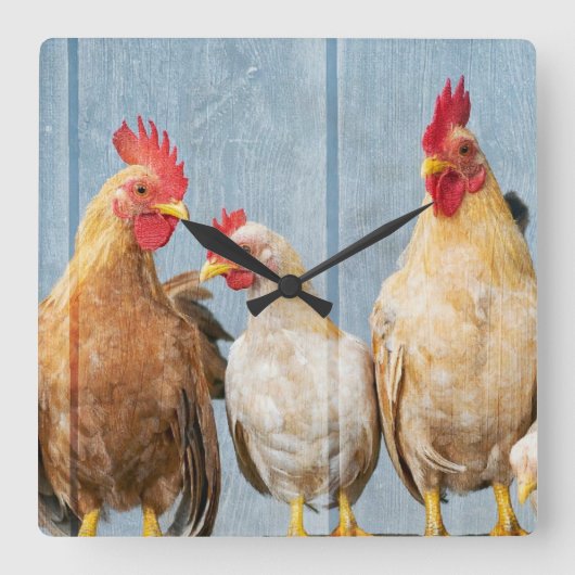 Horloge Carrée Poulets et poules (Recto)