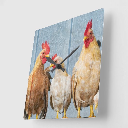 Horloge Carrée Poulets et poules (Angle)