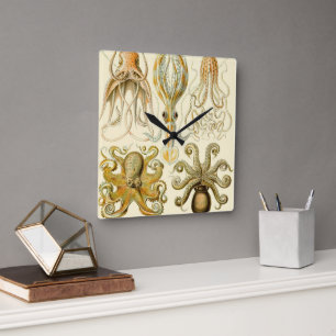Horloge Carrée Poulpe Vintage Squid Gamochonia par Ernst Haeckel