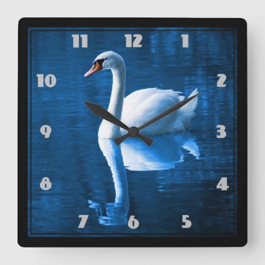 Horloge Carrée Pretty white swan floating on a blue lake (Recto)
