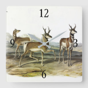 Horloge Carrée Pronghorn (Antelope à cornes longues) par Audubon