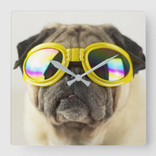 Horloge Carrée Pug with Goggles