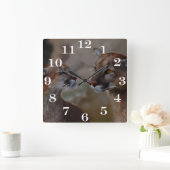 Horloge Carrée Pumas dans l'amour (Maison)
