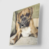 Horloge Carrée Pup de boxe anglaise (Angle)