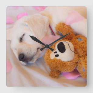 Horloge Carrée Puppy cuddles 02