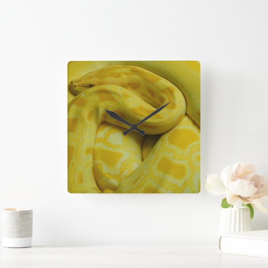 Horloge Carrée Python birman jaune (Maison)