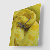 Horloge Carrée Python birman jaune (Angle)