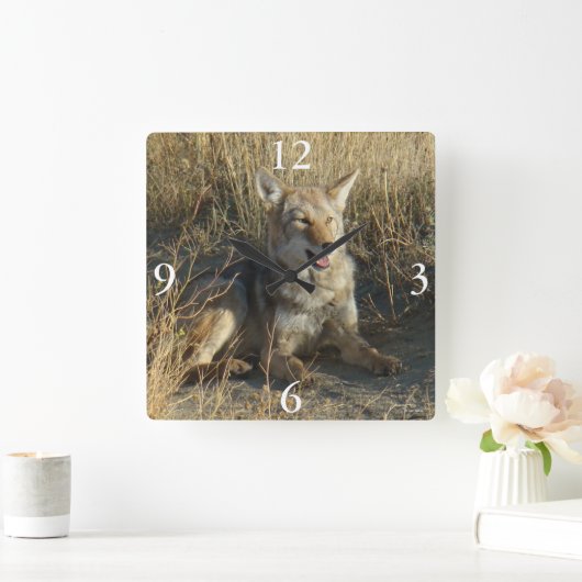 Horloge Carrée R18 Coyote Laying (Maison)