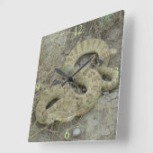 Horloge Carrée R20 serpent à sonnette des prairies blessé (Angle)