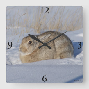 Horloge Carrée R5 Lapin de coton en neige