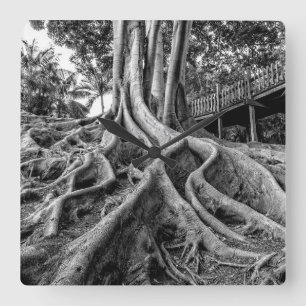 Horloge Carrée Racines massives de caoutchouc