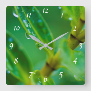 Horloge Carrée Raindrops on green leaves Acrylique wall clock