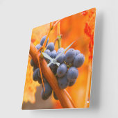 Horloge Carrée Raisin Ripe En Vignoble (Angle)