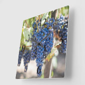 Horloge Carrée raisins violets spectaculaires (Angle)