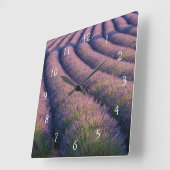 Horloge Carrée Rangées de lavande en Provence (Angle)