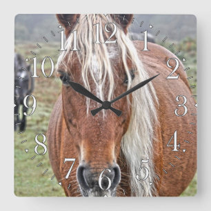 Horloge Carrée Rare Palomino New Forest Pony Wild Horse - Anglete
