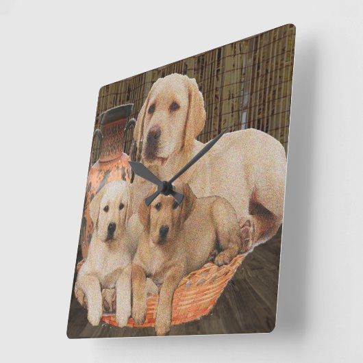 Horloge Carrée Récupérateur Labrador (Angle)