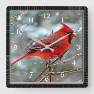 Horloge Carrée Red Cardinal