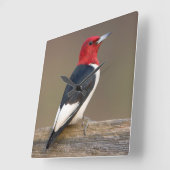 Horloge Carrée Red-headed Woodpecker on fence (Angle)