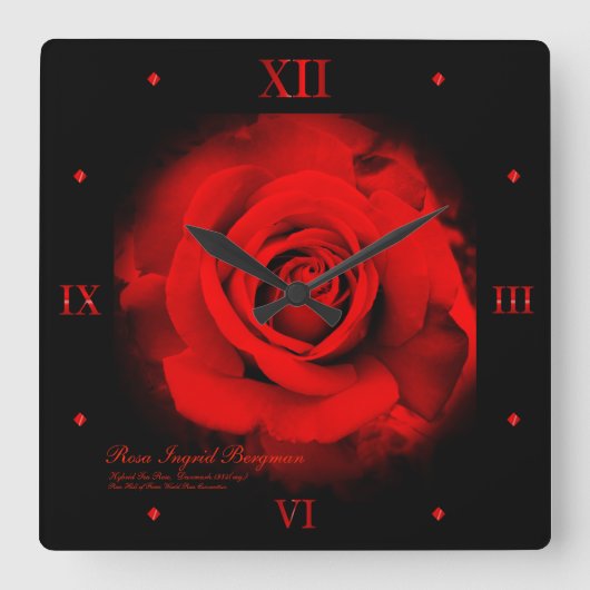 Horloge Carrée Red Rose : Acrylic Wall Clock (Recto)