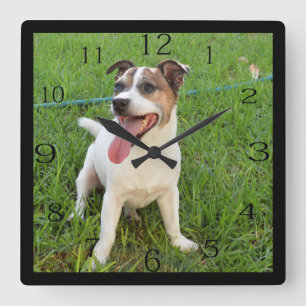 Horloge Carrée Renard Terrier, Langue À La Poitrine,