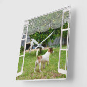 Horloge Carrée Renard Terriers À La Découverte Du Jardin, (Angle)