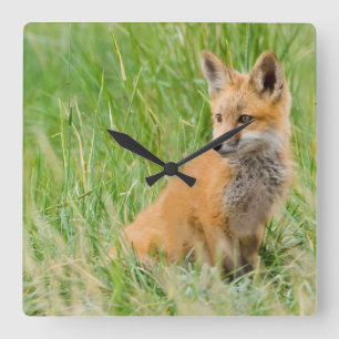 Horloge Carrée Renardeau roux dans l'herbe près de terrier