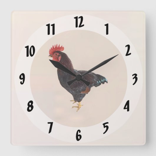 Horloge Carrée Rhode Island Red Rooster (Recto)